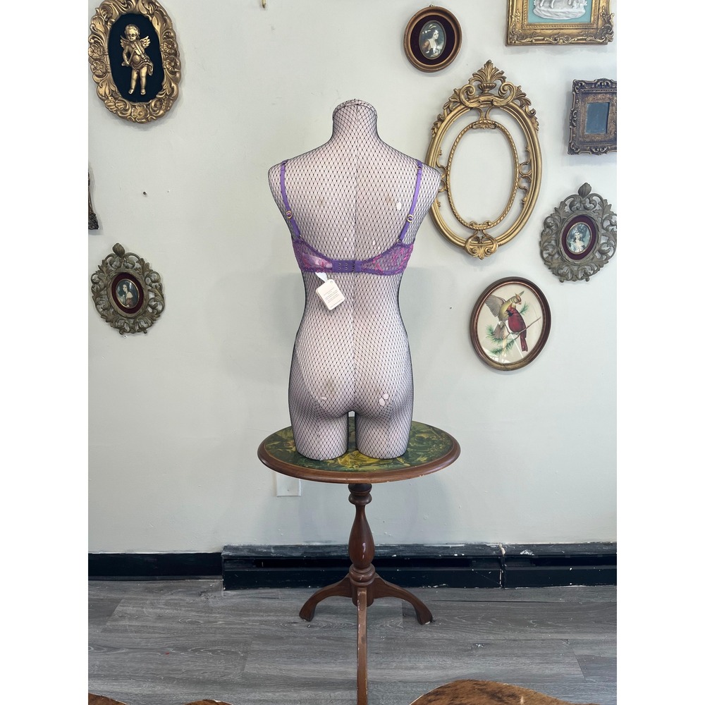 Vintage Agent Provocateur Purple & Pink Lace Bra NWT Y2K Lingerie - Size 34B